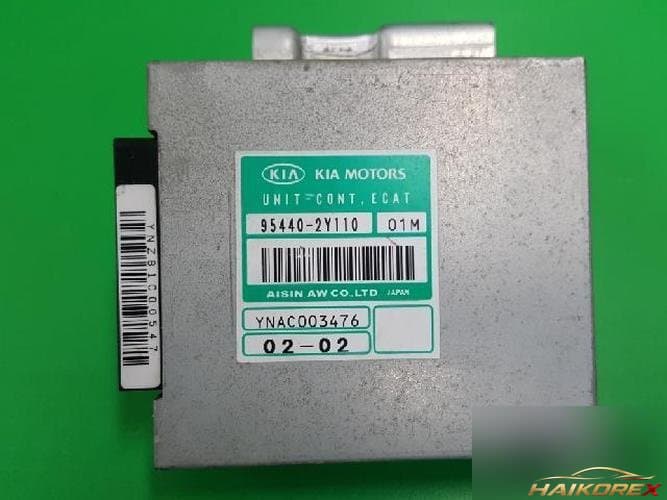 Kia Carnival 2002 TCU 954402Y110