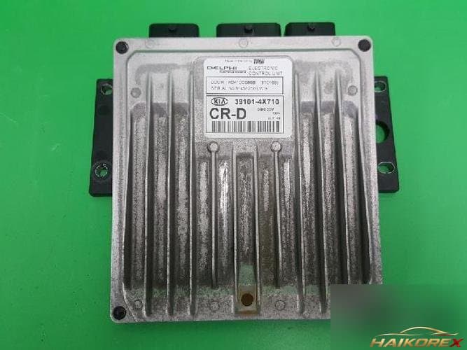 Kia Carnival 2004 — ЭБУ 391014X710