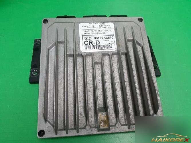 Kia Carnival 2002 — блок управления двигателем ECU 391014X510