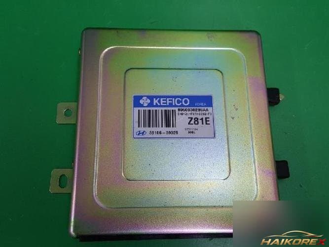 Hyundai Equus 2002 — блок управления двигателем ECU 39106 39025