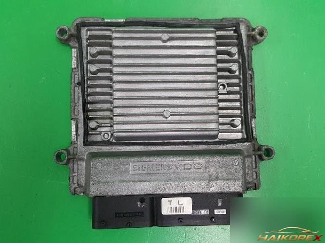 Kia Roche 2008 ECU 3910125740 2