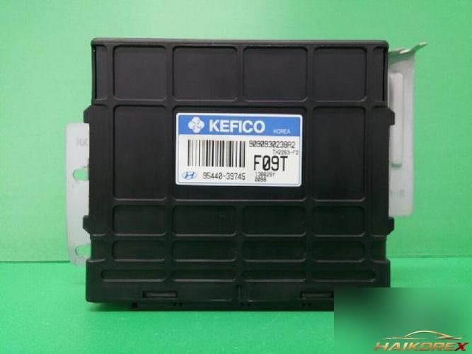 Hyundai Trajet 2003 — блок управления коробкой (TCU) 9544039745