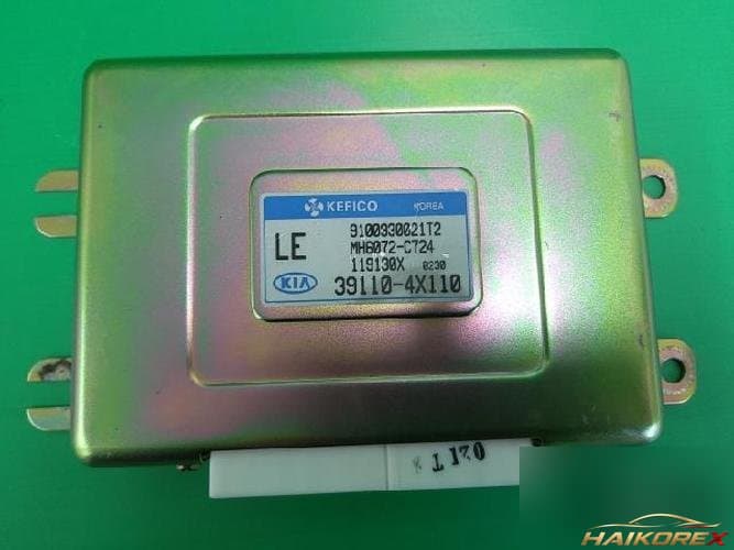 Kia Carnival 2002 — блок управления двигателем ECU 391104X110