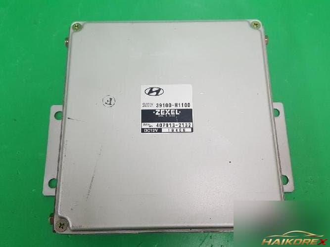 Hyundai Terracan 2001 — блок управления двигателем ECU 39100 H1100
