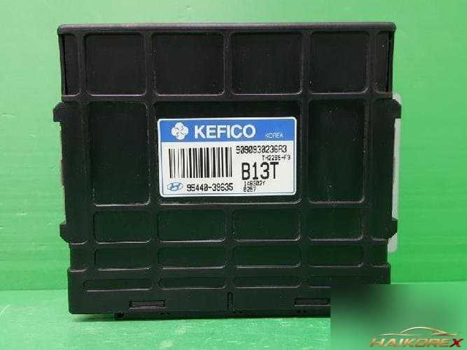 Hyundai Santa Fe 2004 — TCU 95440 39635 2