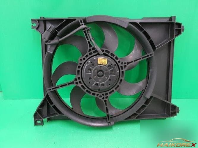 Hyundai Trajet 2004 — конденсор кондиционера 977303A160