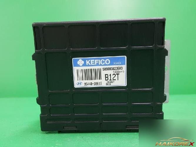 Hyundai Santa Fe 2004 — блок управления коробкой (TCU) 95440-39615-4