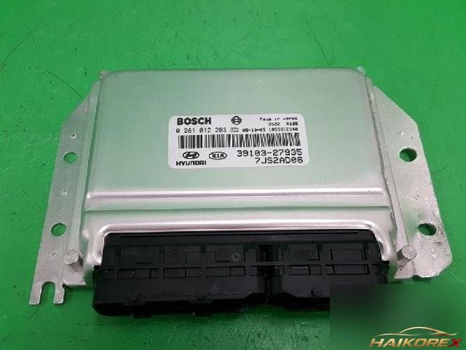 Hyundai Santa Fe 2003 — ЭБУ 39103 27935