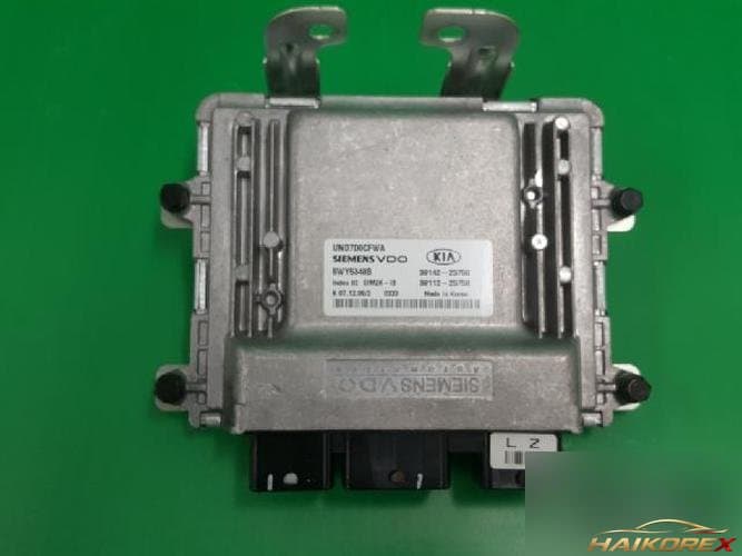 Kia Carens 2007 — блок управления двигателем ECU 3911225750