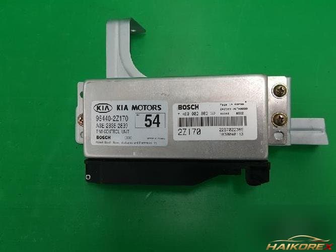 Kia Rio 2004 — блок управления АКПП TCU 954402Z170