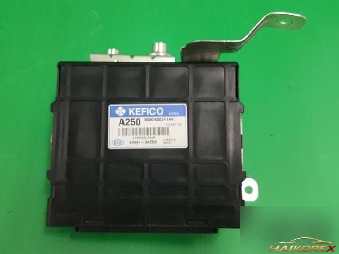 Kia Carnival 2007 — TCU 95440 3A250 2