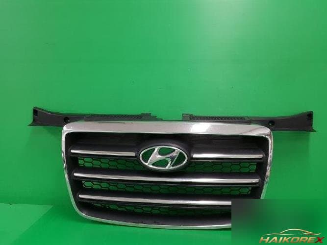 Hyundai Grand Starex 2006 — решетка радиатора 86565 4A600