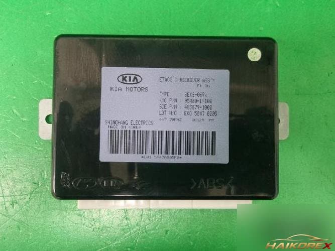 Kia Sportage 2005 — модуль ETACS/BCM 954001F100