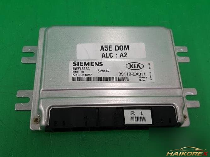 Kia Rio 2002 — блок управления двигателем ECU 391102X011