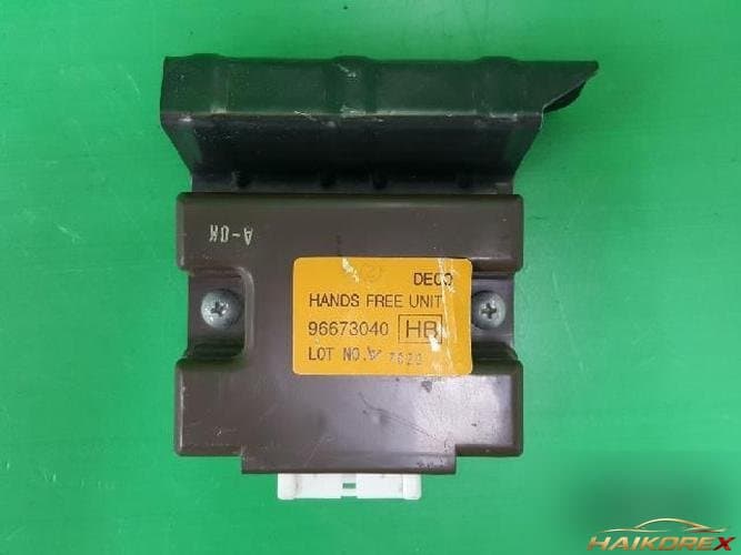 Daewoo Winstorm 2007 — ETACS/BCM 96673040