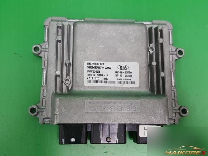 Kia Carens 2007 — блок управления двигателем ECU 3911225750