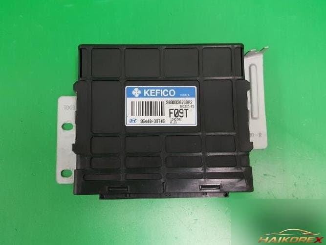 Hyundai Trajet 2003 — блок управления АКПП TCU 95440 39745 2