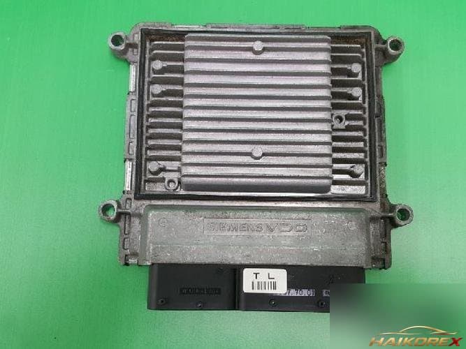 Kia Carens 2008 — ECU 39102 25711