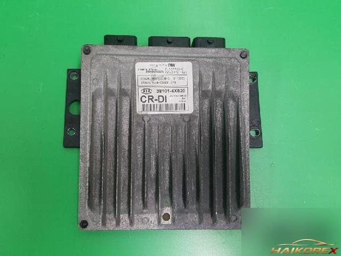 Kia Carnival 2006 — блок управления двигателем ECU 39101 4X820 4