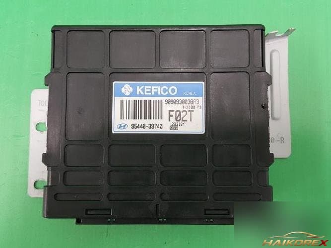 Hyundai Traject 2002 — TCU 95440 39740 1