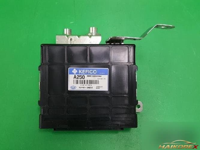 Kia Carnival 2007 TCU 95440 3A250 4