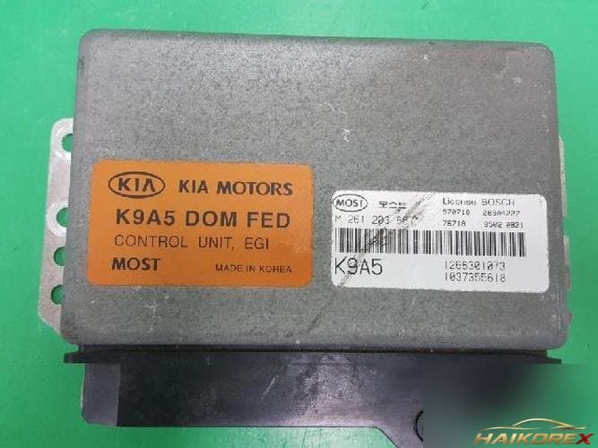 Kia Credos 1997 — электронный блок управления ETACS/BCM 0K9A518881