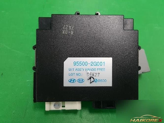 Kia Roche 2007 — ETACS/BCM 95500 2G001