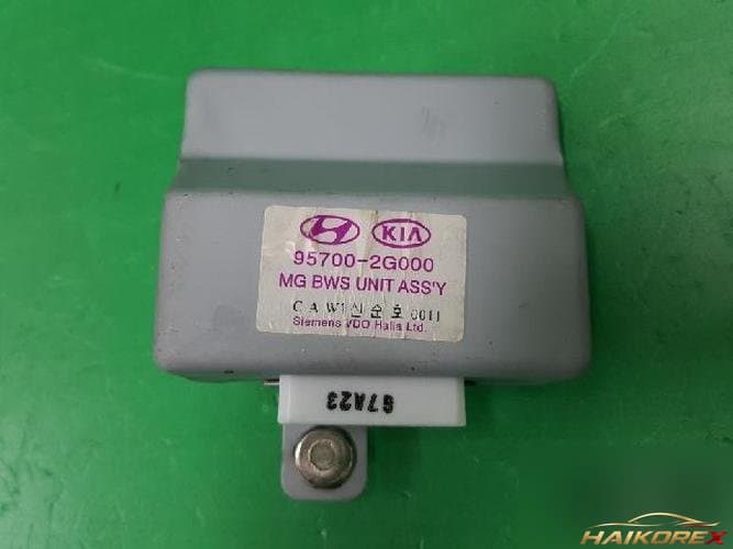 Kia Roche 2007 — ETACS/BCM 95700 2G000
