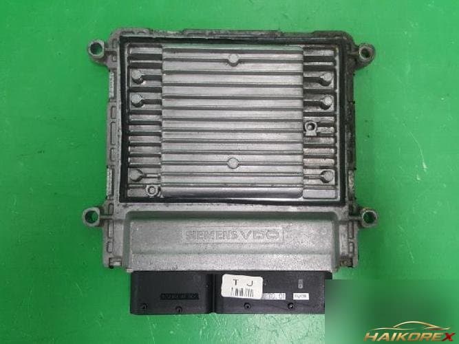 Kia Roche 2007 — блок управления двигателем ECU 39101 25710