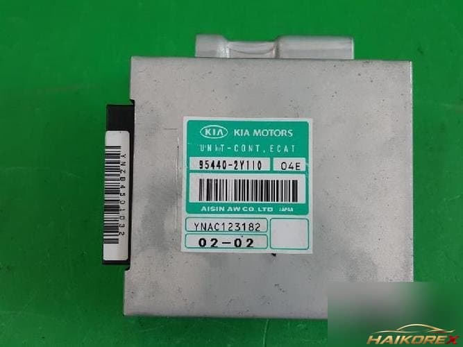 Kia Carnival 2005 TCU 95440 2Y110 1
