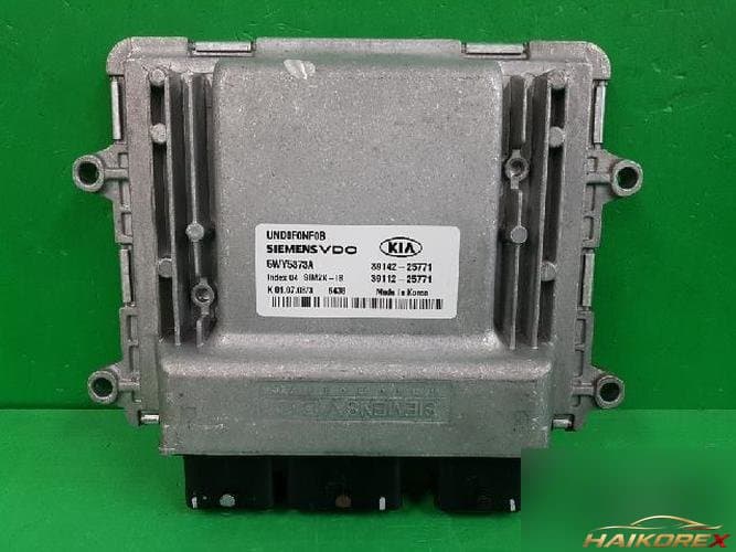 Kia Carens 2009 — блок управления двигателем ECU 3911225771