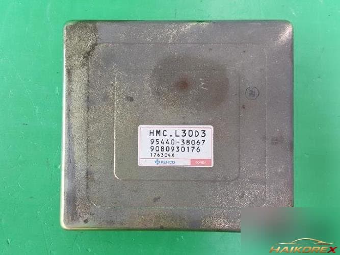 Hyundai Dynasty 1997 — TCU 95440 38067