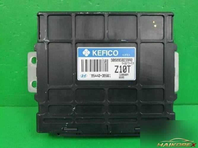 Hyundai Equus 2002 — блок управления коробкой TCU 95440 39561