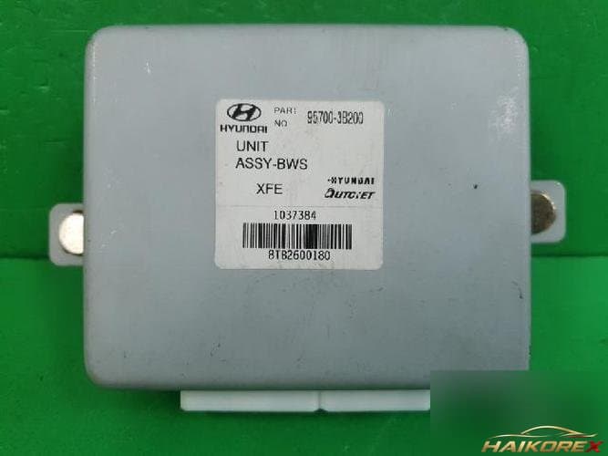 Hyundai Equus 2002 — ETACS/BCM 95700 3B200