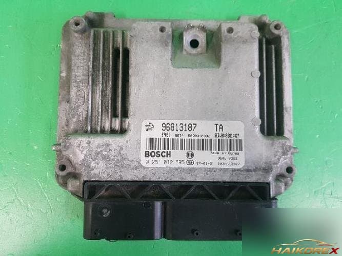 Daewoo Winstorm 2007 — ЭБУ 96813187 10