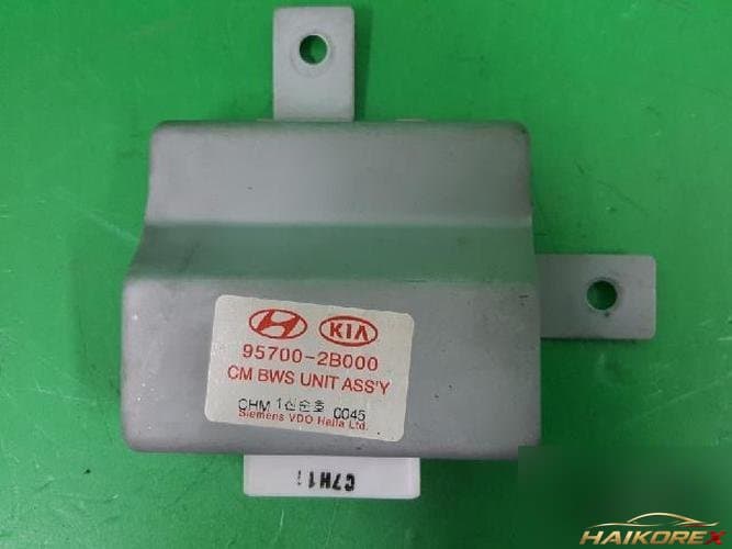 Hyundai Santa Fe 2008 ETACS/BCM 95700-2B000