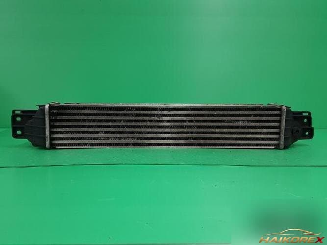 Daewoo Winstorm 2007 — интеркулер 96629070 2