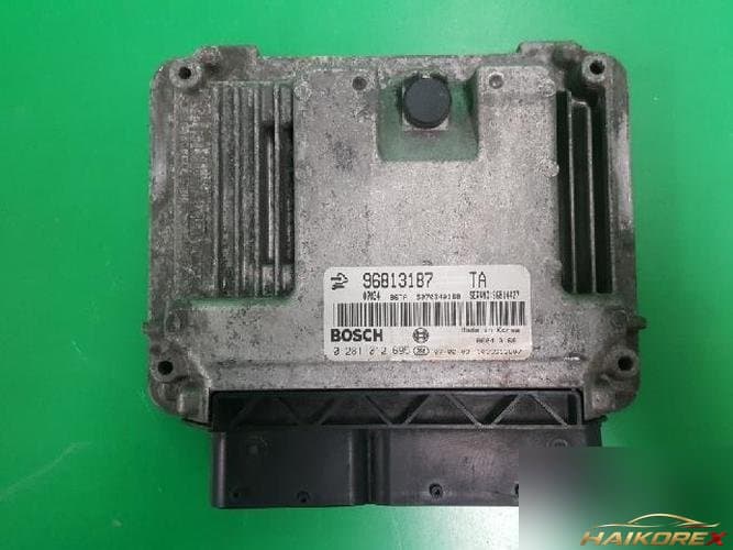 Daewoo Winstorm 2007 — ЭБУ 96813187 10