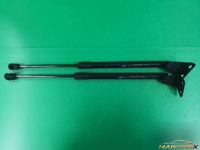 Daewoo Winstorm 2007 — усилитель капота 96830124