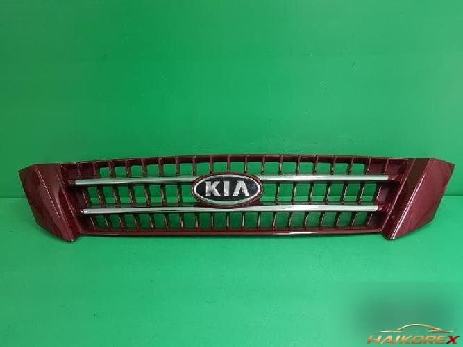 Kia Carnival 2008 — решетка радиатора 863504D5007P