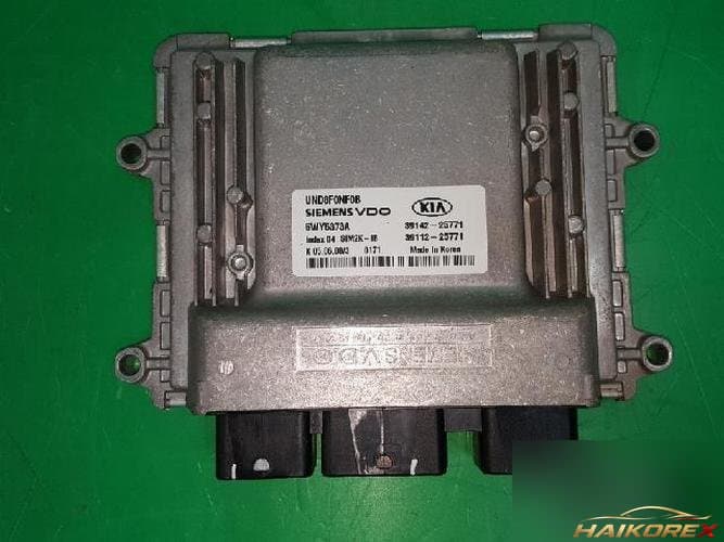 Kia Carens 2009 — блок управления двигателем ECU 3911225771