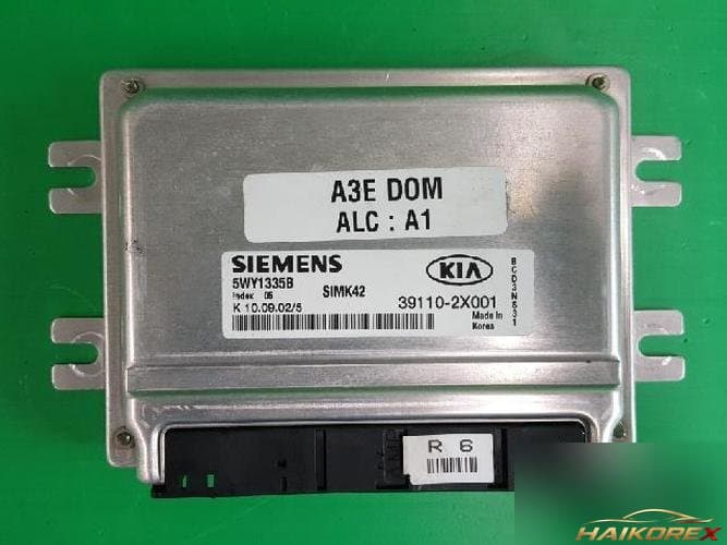 Kia Rio 2002 — блок управления двигателем ECU 391102X001