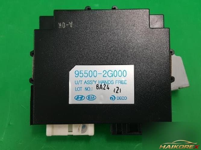 Kia Roche 2006 — блок управления ETACS/BCM 95500-2G000