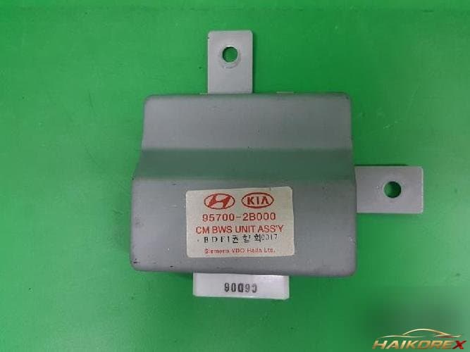 Hyundai Santa Fe 2006 — модуль управления системой автомобиля ETACS/BCM 95700 2B000