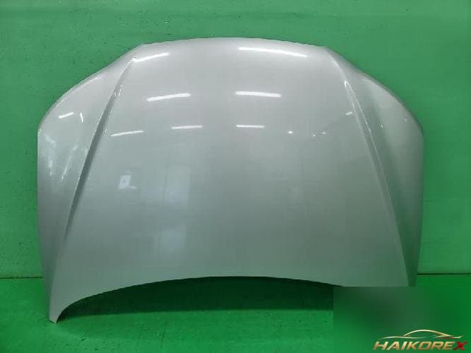 Hyundai Santa Fe 2007 — капот