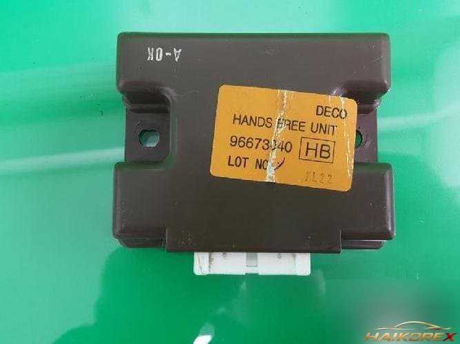 Daewoo Winstorm 2008 — модуль ETACS/BCM 96673040