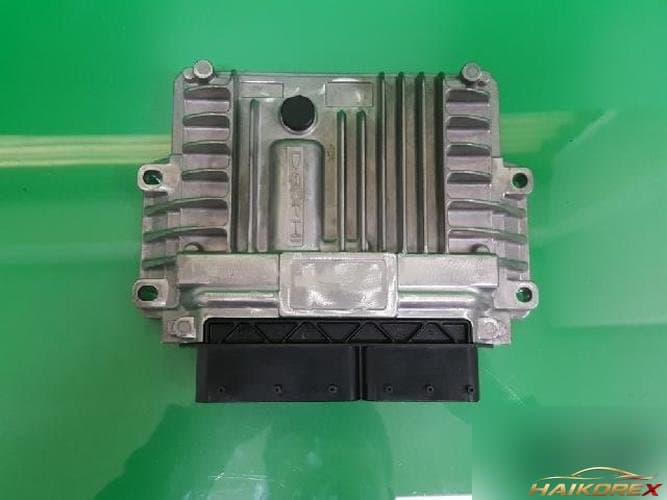 KG Mobility Rodius 2011 — блок управления двигателем ECU A6655404432