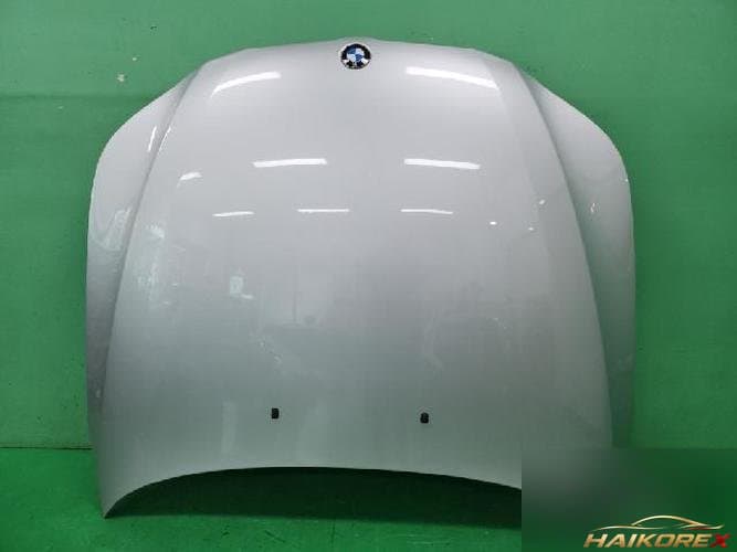 BMW 5-серия 2009 — капот (3)