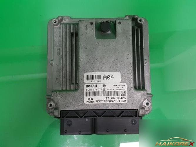 Hyundai Santa Fe 2010 — ECU 39100 2F405