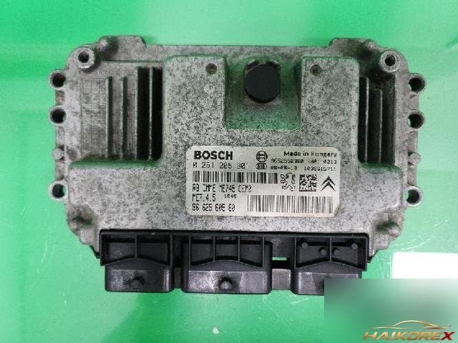 Peugeot 206 2007 — блок управления двигателем ECU 9662560580
